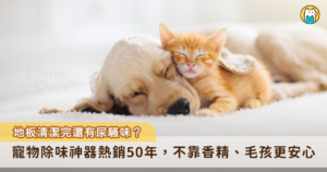 台灣天氣潮濕，每年的季節變化容易讓免疫力差的毛孩出現過敏反應，除了注重飲食健康與皮膚護理，日常環境的管理也不容小覷。小編整理了知名寵物營養保健品牌「沛睿德」推出的優質產品，包含熱銷 50 年的地板潔淨液與犬貓相關的營養保健品，無論是居家清潔、毛孩營養保健，換季期間還是能全方面守護毛孩健康。