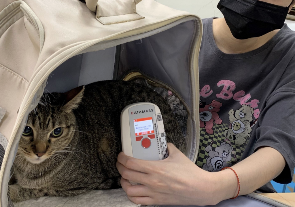 農業部 2024 年預告修正草案，家貓應辦理寵物登記，緩衝期為 1 年。新北市動保處提醒，家貓寵物登記 1 年的緩衝期即將屆滿，自 115 年 1 月 1 日起，未幫貓咪植入晶片並完成寵物登記，將依動物保護法裁處新台幣 3000 元至 1 萬 5000 元罰鍰。