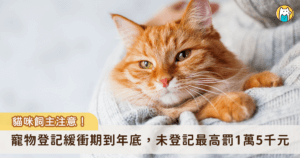 農業部 2024 年預告修正草案，家貓應辦理寵物登記，緩衝期為 1 年。新北市動保處提醒，家貓寵物登記 1 年的緩衝期即將屆滿，自 115 年 1 月 1 日起，未幫貓咪植入晶片並完成寵物登記，將依動物保護法裁處新台幣 3000 元至 1 萬 5000 元罰鍰。