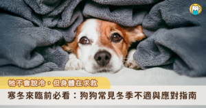 冬天來臨氣溫的劇烈變化容易影響狗狗身體，劇烈溫差不只會影響食慾，也會挑動牠們的關節、腸胃、眼睛與皮膚，一不留神就可能出現各種健康問題。以下整理狗狗在冬季常見的四大狀況，並提供對應方式，讓牠們能更舒服地度過冷冷的換季期。