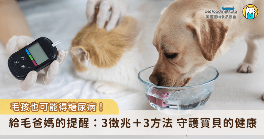你可能以為糖尿病只是人類的疾病，但其實毛孩也可能會患病。糖尿病是一種常見的內分泌疾病，當犬貓體內無法有效運用血液中的葡萄糖時，血糖便會持續升高，一旦高到超過腎臟負荷，連尿液中都能檢測到糖分時，就表示已患有糖尿病了。
