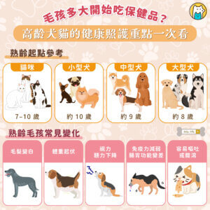 2025 第六屆國際照顧博覽會於 25–27 日在南港展覽館舉行，今年擴大「寵物長照主題館」，以「人寵共照、跨域共老」為核心，連續 3 天邀請獸醫師、營養師與照護專家分享高齡犬貓的健康照護。