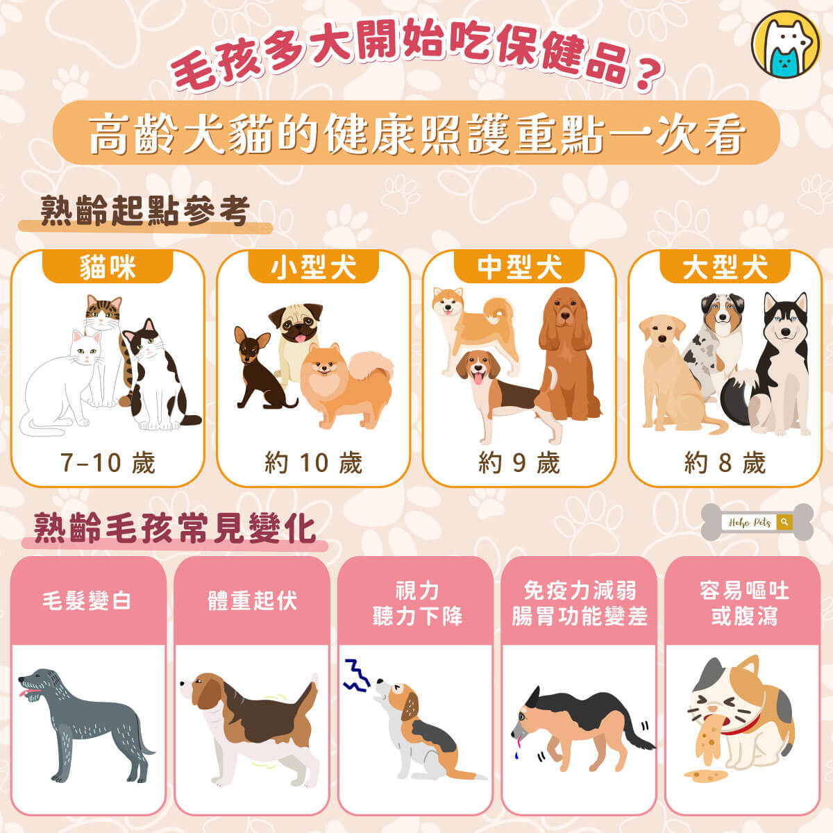 2025 第六屆國際照顧博覽會於 25–27 日在南港展覽館舉行，今年擴大「寵物長照主題館」，以「人寵共照、跨域共老」為核心，連續 3 天邀請獸醫師、營養師與照護專家分享高齡犬貓的健康照護。