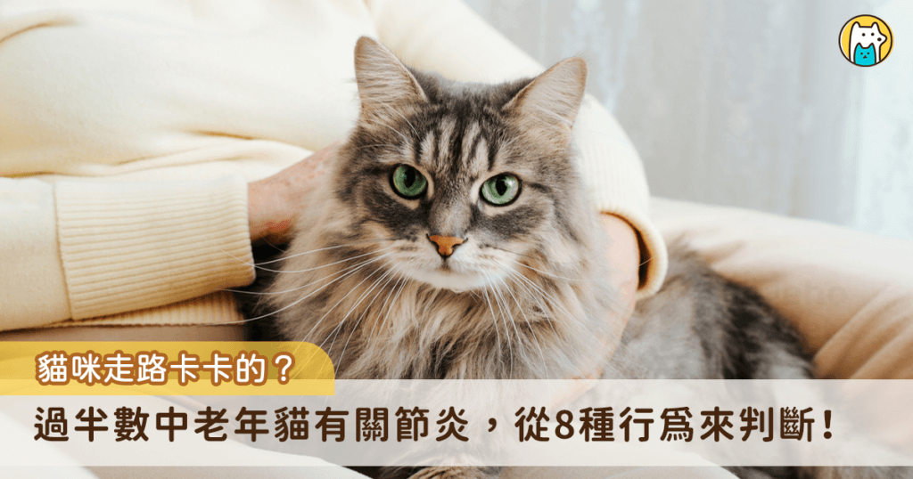 在文章的一開始，想先分享一個令人驚訝的研究數據給大家：14 歲以上的老貓，有高達 82-92% 的機會可以在 X 光下找到 DJD（退化性關節炎）的證據。另一個研究是 6 歲以上、在大學附設教學醫院就診的貓咪，其中 61% 有 OA（骨關節炎），顯示就算是中年貓咪族群也是有一定比例關節不正常，而且大部分都不是因為關節問題來就診的。