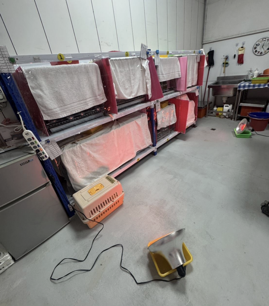 週末即將迎來低溫，動物之家也啟動防寒措施！新北市動保處動保處轄下八個動物之家全面啟動「三段式控溫機制」，當氣溫降至 15°C 以下時加強防風帆布；降至 12°C 以下時，增加保暖布料；降至 10°C 以下時，開啟保溫燈及暖爐，以提高環境溫度。其中虛弱與年邁的動物較容易受寒，更需要做好防寒措施。