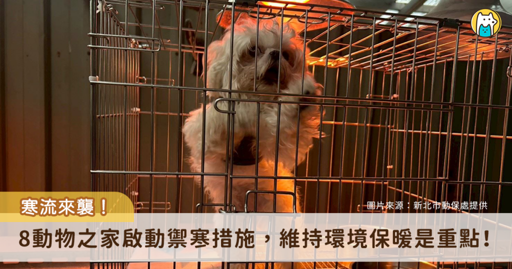 週末即將迎來低溫，動物之家也啟動防寒措施！新北市動保處動保處轄下八個動物之家全面啟動「三段式控溫機制」，當氣溫降至 15°C 以下時加強防風帆布；降至 12°C 以下時，增加保暖布料；降至 10°C 以下時，開啟保溫燈及暖爐，以提高環境溫度。其中虛弱與年邁的動物較容易受寒，更需要做好防寒措施。