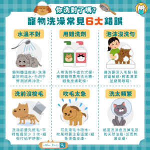你洗對了嗎？幫寵物洗澡最常見的 6 大錯誤