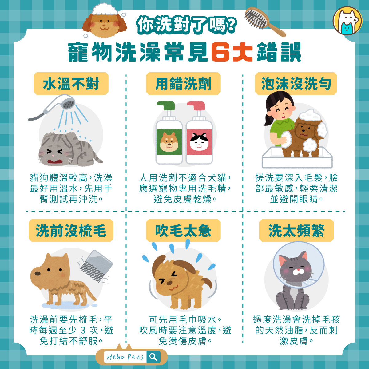 你洗對了嗎？幫寵物洗澡最常見的 6 大錯誤