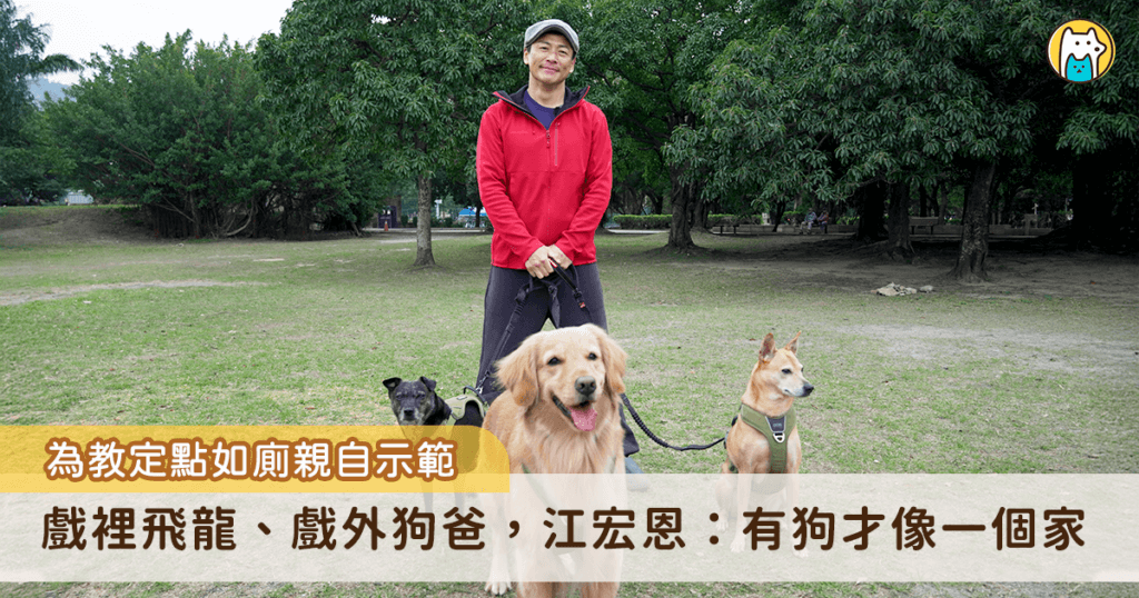 專訪/江宏恩:有狗才像一個家 為教愛犬定點如廁「示範大在報紙上」 「親像飛龍,飛上天。」20 年前的八點檔神劇「飛龍在天」是許多人的共同回憶,當年全台民眾死守電視機,看著主角 CP 們展現精湛演技,其中「飛龍抱鼎」一幕更是經典畫面。而飾演主角的江宏恩私底下個性也如黃飛龍,是個有責任和愛心的暖男,更是一位愛狗爸爸,現在家中飼養 4 狗 3 貓,最高齡的狗狗已經 19 歲,談起家中多位毛小孩,他的臉上總是掛著幸福的笑容。