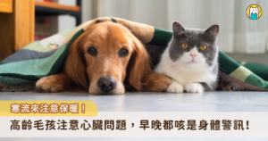 氣團一波接一波來襲，除了長輩要小心保暖，家中高齡犬貓也得多留意。獸醫示警，如果發現毛孩睡醒出現異常定格行為、抗拒散步走到門口就想回頭，或是出現睡眠不安穩、趴不下去或半夜頻繁換姿勢，甚至對撫摸產生抗拒閃躲等行為，都需要提高警覺。此外，狗貓晨間或夜間乾咳，也常被誤認為感冒，其實可能是心臟肥大壓迫氣管，或輕微肺積水的身體警訊。