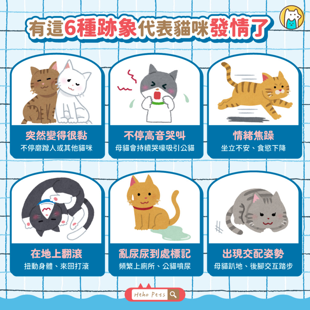 貓咪叫春是什麼?發情原因、6 大行為與處理方式全攻略 貓咪發情是一種自然的生理現象,是為了繁衍後代而產生的本能反應。當體內荷爾蒙開始波動,牠們的情緒與行為也會出現明顯變化。若能提早辨識發情跡象,飼主就能更從容應對,減少貓咪與家人生活上的困擾。