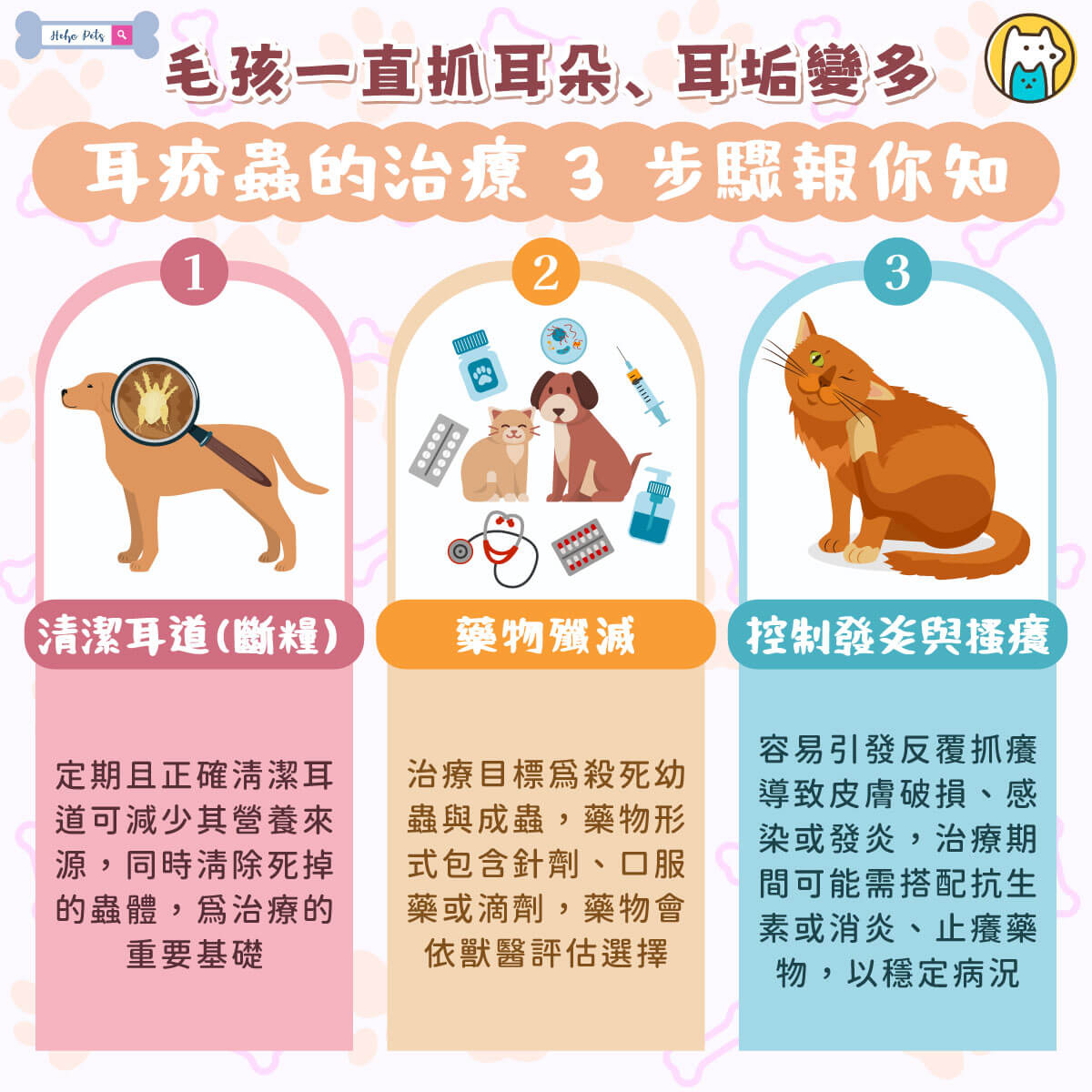 當家中毛孩頻繁出現前後腳搔抓耳朵、甩頭或用耳朵摩擦地面、家具等行為時，往往代表耳道可能已經發炎。獸醫師指出，耳疥蟲屬於接觸性傳染、且具有高度傳染力的寄生蟲，雖主要棲息於耳道內，但仍可在環境中短暫存活，恐透過生活用品間接傳染給同住的其他動物，甚至人類。