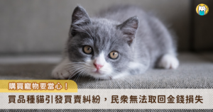 新北市近期發生多起寵物買賣糾紛，有消費者反映購買幼犬、幼貓後，短期內生病甚至死亡，引發醫療費用、退換貨及責任歸屬等消費糾紛。新北市動保處表示，由於一般消費者對動物整體健康狀況及幼齡犬貓適應新環境能力認知有限，加上部分品種幼犬貓抵抗力較弱，常在更換環境後發病，導致爭議層出不窮。動保處呼籲，切勿因一時喜愛而衝動消費，寵物買賣契約並非白紙一張，後續生命照護成本更不容忽視。