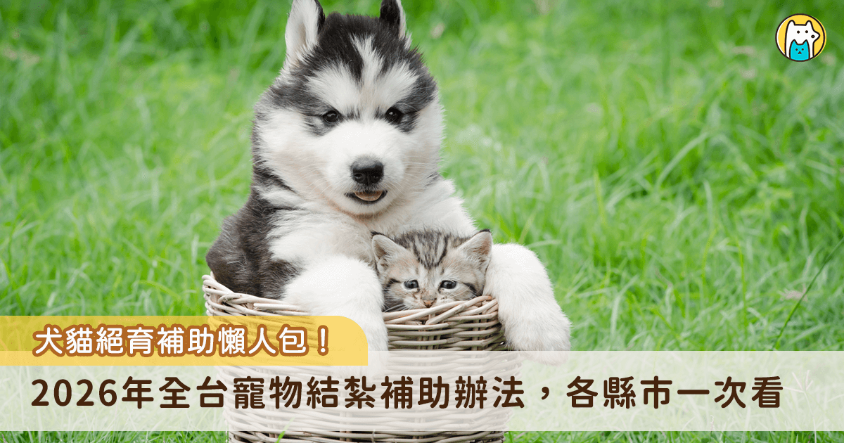 新的一年各縣市陸續發布最新的結紮補助辦法，部分縣市對比往年提高補助金額，台北市今年(2026)起也擴大寵物保險補助對象，持續推動友善寵物醫療措施。Heho Pets 整理出 2026 年最新全台犬貓結紮補助的辦理方法，包含補助金額、申請資格、申請期限，提供給大家加以使用。