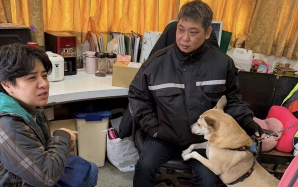 新北市板橋區江翠國小的校犬「妞妞」近日出現情緒不穩定、啃咬尾巴的行為，原本乖巧的牠看到陌生人或換班期間會變得異常的焦慮。經過訓練師的觀察，發現妞妞會情緒不穩的主因是過胖導致的疼痛，以及餵食空間有過多人流，導致牠無法好好放鬆休息。