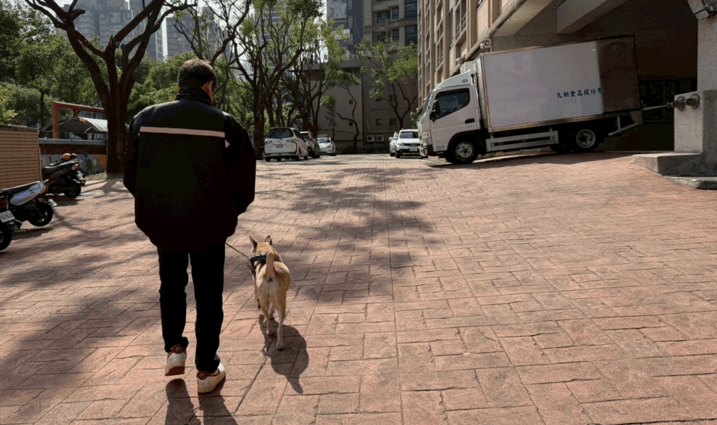 新北市板橋區江翠國小的校犬「妞妞」近日出現情緒不穩定、啃咬尾巴的行為，原本乖巧的牠看到陌生人或換班期間會變得異常的焦慮。經過訓練師的觀察，發現妞妞會情緒不穩的主因是過胖導致的疼痛，以及餵食空間有過多人流，導致牠無法好好放鬆休息。