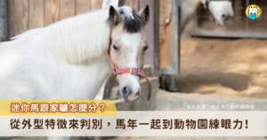 今 (2026) 年適逢農曆生肖馬年，不少民眾喜歡到動物園觀察「馬年明星」的身影，但常常遇到迷你馬跟家驢分不清楚的狀況。台北市立動物園分享這兩種動物的辨識方法，可以從外觀特徵來看出端倪。
