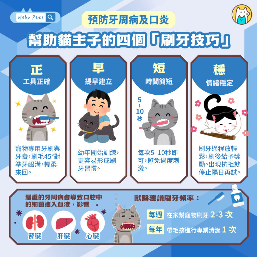 貓咪刷牙很重要！專家教你正確刷牙 4 重點