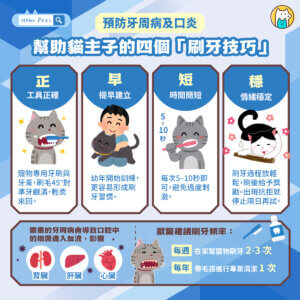 貓咪刷牙很重要！專家教你正確刷牙 4 重點