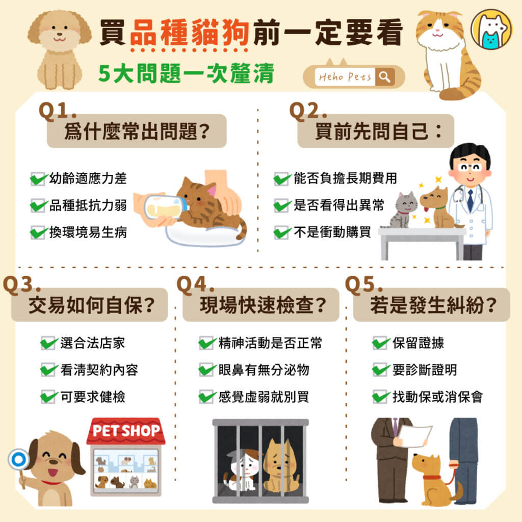 品種貓狗購買之前要三思！一張圖看懂風險與自保