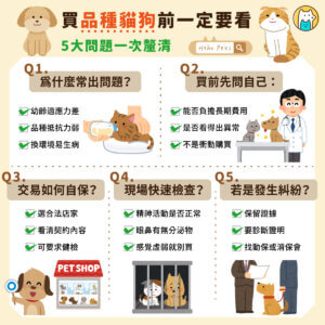 品種貓狗購買之前要三思！一張圖看懂風險與自保