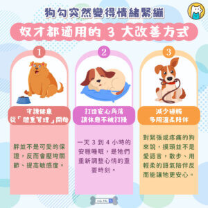 江翠國小校犬「妞妞」最近不太對勁。原本愛撒嬌、愛跟老師們打招呼的牠，開始變得情緒緊繃，遇到陌生人或換班時容易焦慮，甚至出現啃咬尾巴的自殘行為。這些變化讓每天和牠相處的警衛大哥與師生們都看在眼裡、放在心上。