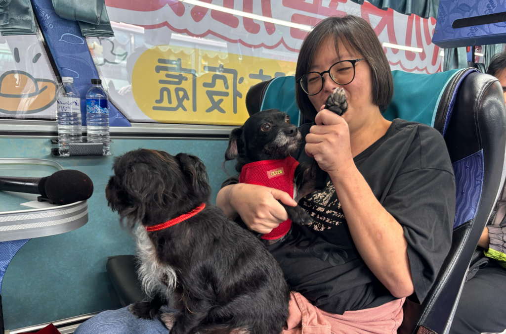 為推廣寵物友善城市與飼養責任觀念，新北市動保處辦理票選冠軍路線一日遊「淡水漁人碼頭及淡水老街」體驗團，邀請 17 隻狗狗與飼主共同參與一日遊行程，實地走訪票選冠軍路線，展現新北市打造人寵共遊環境的成果。