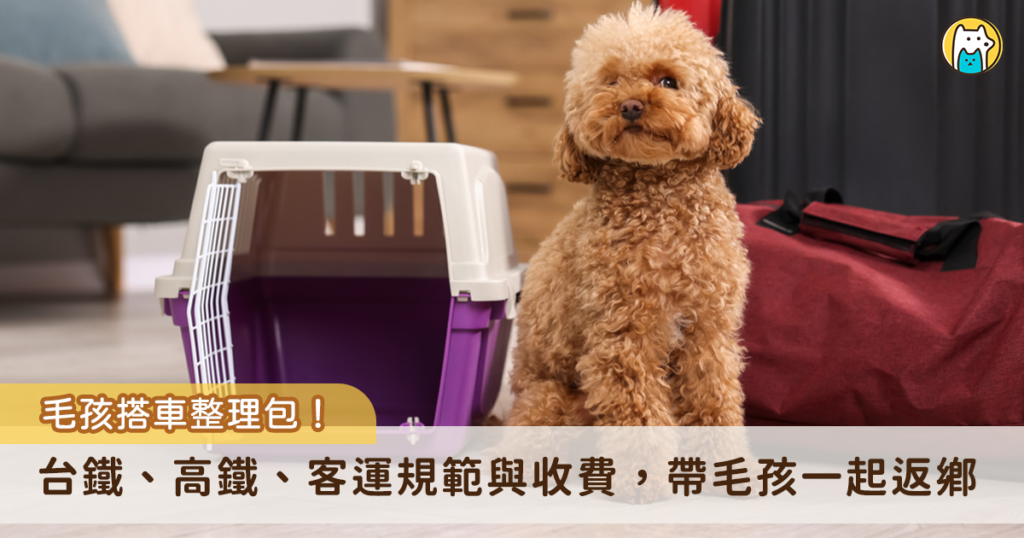 農曆新年迎來返鄉潮，部分飼主選擇搭乘大眾運輸帶毛孩一起回家過年，最多人搭乘的不外乎是台鐵、高鐵以及客運，而每一種交通運輸工具的外出籠尺寸、收費方式規範不同，Heho Pets 整理出 3 種交通工具的整理包，方便飼主能一目瞭然選擇最適合的返鄉路線。
