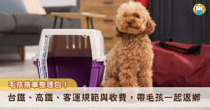 農曆新年迎來返鄉潮，部分飼主選擇搭乘大眾運輸帶毛孩一起回家過年，最多人搭乘的不外乎是台鐵、高鐵以及客運，而每一種交通運輸工具的外出籠尺寸、收費方式規範不同，Heho Pets 整理出 3 種交通工具的整理包，方便飼主能一目瞭然選擇最適合的返鄉路線。