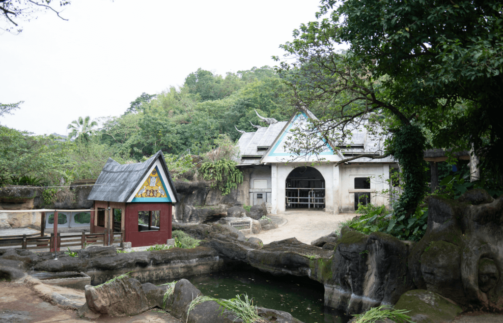 台北市立動物園的亞洲熱帶雨林區即將迎來局部更新，提升動物福祉並更新老舊設施。居住在熱帶雨林區的動物們將於今 (2026) 年陸續搬遷至其他區域，以利新工程施作。亞洲象「友愷」、「友信」將於 3 月下旬移居非洲動物區與非洲象「千惠」當鄰居，歡迎民眾在農曆新年前後到雨林走走，一同與動物們留下珍貴的回憶。