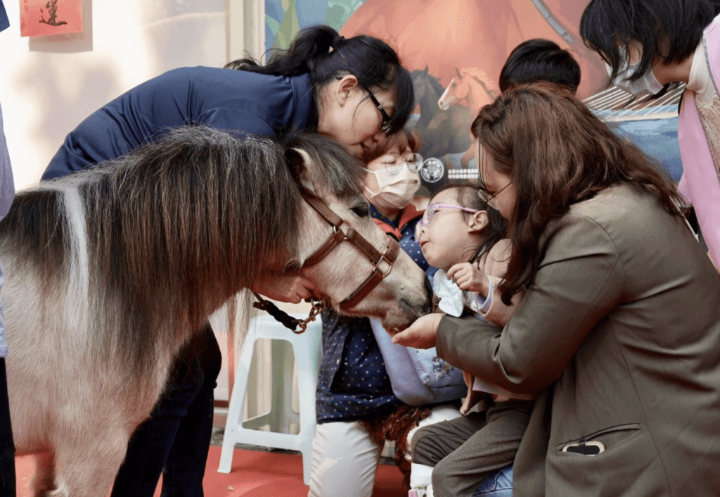 「馬年新春特展」打造動物友善城市 早療童輕撫馬兒鬃毛:牠好溫柔 迎接馬年到來,新北市動保處舉辦「以馬為媒:身心療癒的力量新春特展」,透過馬匹行為解析、醫療照護分享及多元互動體驗,引領民眾深入認識馬匹習性與動物福利理念,邀請多位專家參與推廣生命教育,傳達「動物療癒人,人也療癒動物」的關懷精神。展覽將展出至 4 月 30 日,歡迎民眾前去參觀,感受馬兒帶來的溫柔與力量。
