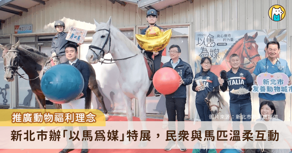 「馬年新春特展」打造動物友善城市 早療童輕撫馬兒鬃毛:牠好溫柔 迎接馬年到來,新北市動保處舉辦「以馬為媒:身心療癒的力量新春特展」,透過馬匹行為解析、醫療照護分享及多元互動體驗,引領民眾深入認識馬匹習性與動物福利理念,邀請多位專家參與推廣生命教育,傳達「動物療癒人,人也療癒動物」的關懷精神。展覽將展出至 4 月 30 日,歡迎民眾前去參觀,感受馬兒帶來的溫柔與力量。