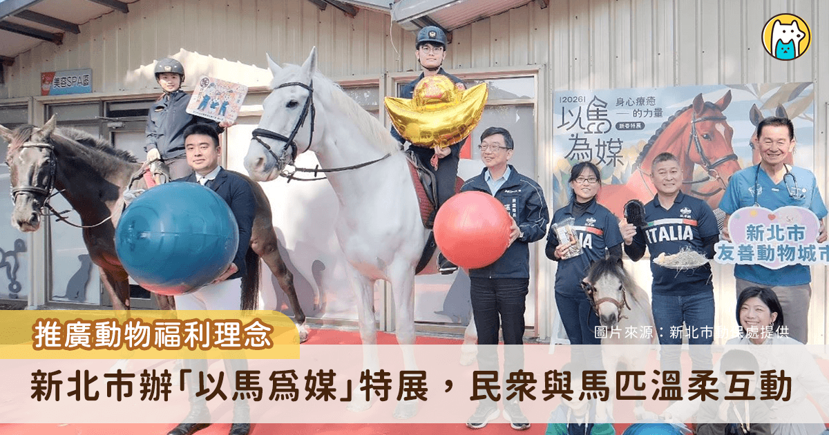 迎接馬年到來，新北市動保處舉辦「以馬為媒：身心療癒的力量新春特展」，透過馬匹行為解析、醫療照護分享及多元互動體驗，引領民眾深入認識馬匹習性與動物福利理念，邀請多位專家參與推廣生命教育，傳達「動物療癒人，人也療癒動物」的關懷精神。展覽將展出至 4 月 30 日，歡迎民眾前去參觀，感受馬兒帶來的溫柔與力量。