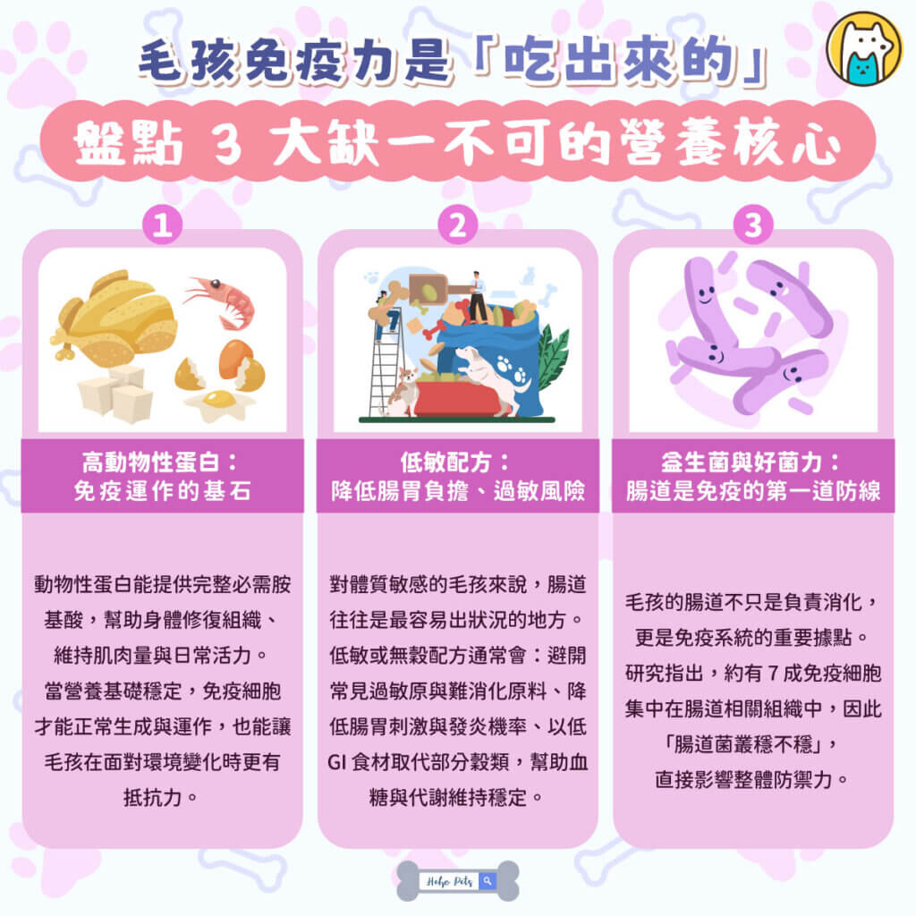 對多數飼主來說，替毛孩建立良好免疫力，同時又能顧好腸胃，是挑選飼料時最在意的關鍵。其實，近年不少美國寵物食品品牌，都圍繞著一個共同方向——高蛋白、低敏、益生菌，從體內打造穩定又持久的防護力。