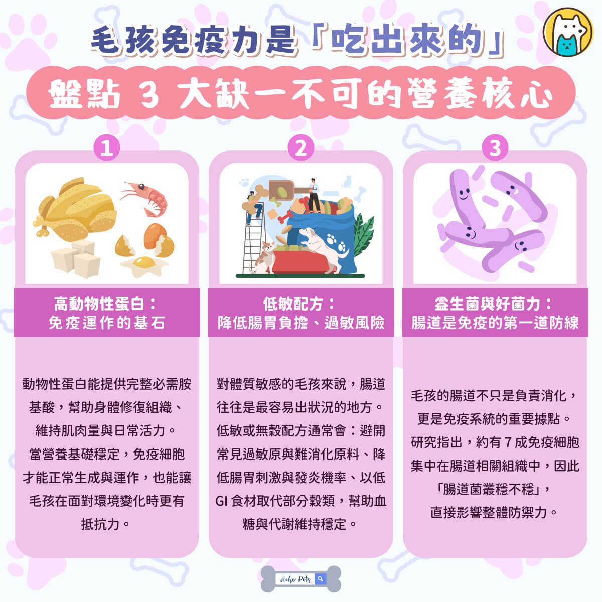 對多數飼主來說，替毛孩建立良好免疫力，同時又能顧好腸胃，是挑選飼料時最在意的關鍵。其實，近年不少美國寵物食品品牌，都圍繞著一個共同方向——高蛋白、低敏、益生菌，從體內打造穩定又持久的防護力。