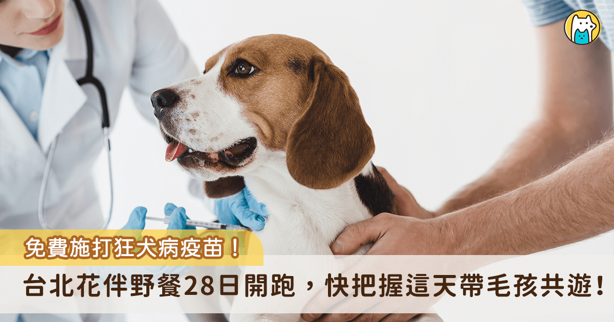 賞花也能幫毛孩防疫，免費施打狂犬病疫苗！台北市動保處將於「2026 台北花伴野餐」活動設攤，分別在 3 月 28 日舉辦動保知識小學堂趣味問答，及 3 月 29 日提供免費狂犬病預防注射及寵物登記服務，並贈送精美小禮物，民眾可趁機攜帶毛孩到大安森林公園踏青與參與活動。