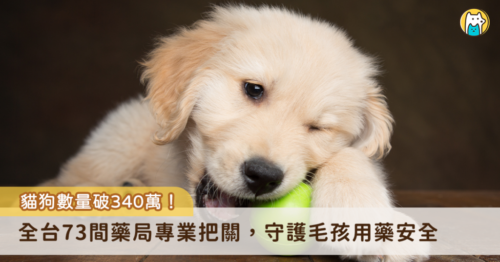 全台毛小孩數量截至 2025 年底達到 340 萬隻，正式超越 14 歲以下小孩，為了提供毛孩更優質的生活品質，國內藥局掀起「寵物藥局」熱潮，由取得販售資格的藥師提供動物用藥，目前全台已有 73 家，飼主可到藥局購買動物用藥，或是提供獸醫師開立的處方箋至藥局領藥，由藥師與獸醫師一同守護毛孩用藥安全。