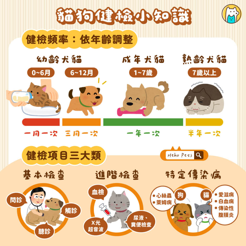 貓狗的老化速度比人類快許多，一般來說，人類的一年約等於毛孩的五到七年。若飼主一年才帶毛孩做一次健康檢查，就像人類每五到七年才做一次健檢。隨著年齡增加，器官功能逐漸退化，加上毛孩無法清楚表達不適，尤其貓咪常會隱忍疼痛，等到飼主發現異常，往往已進入疾病晚期。因此，定期健檢的目的並不是「生病才檢查」，而是提早掌握身體狀況，及早發現潛在問題。