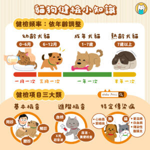 毛孩多久要健檢一次？幾歲開始做？解析 3 大健康檢查重點