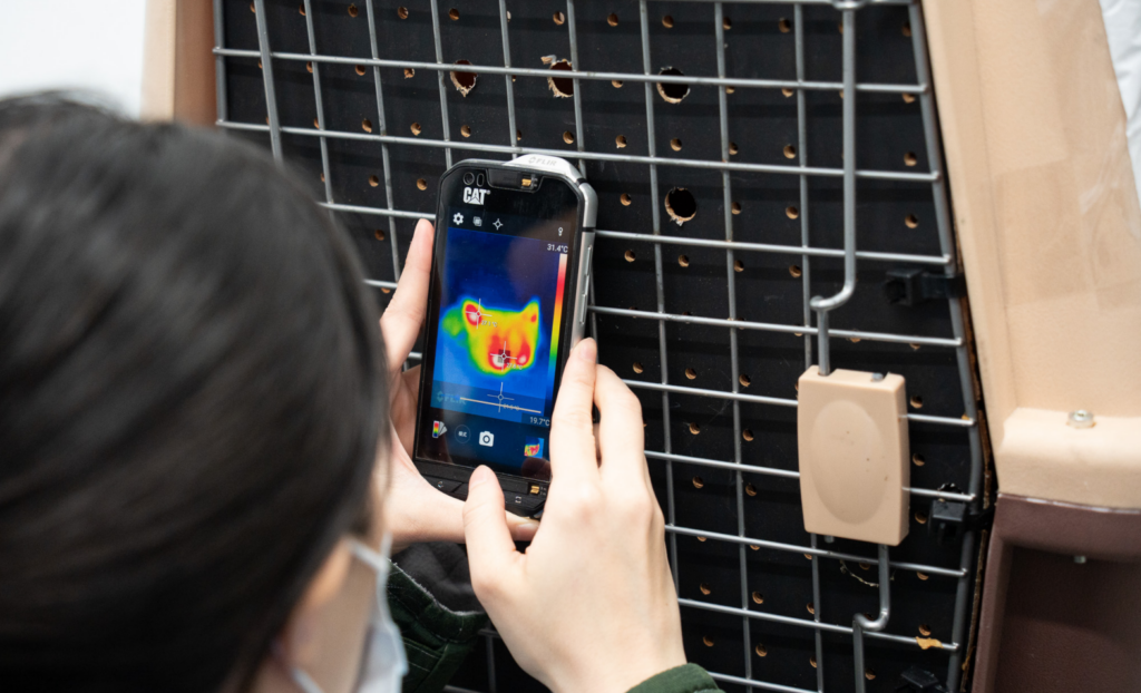 動物園同仁從桃園機場將小貓熊「茜茜」送回園區，隨時注意動物狀態