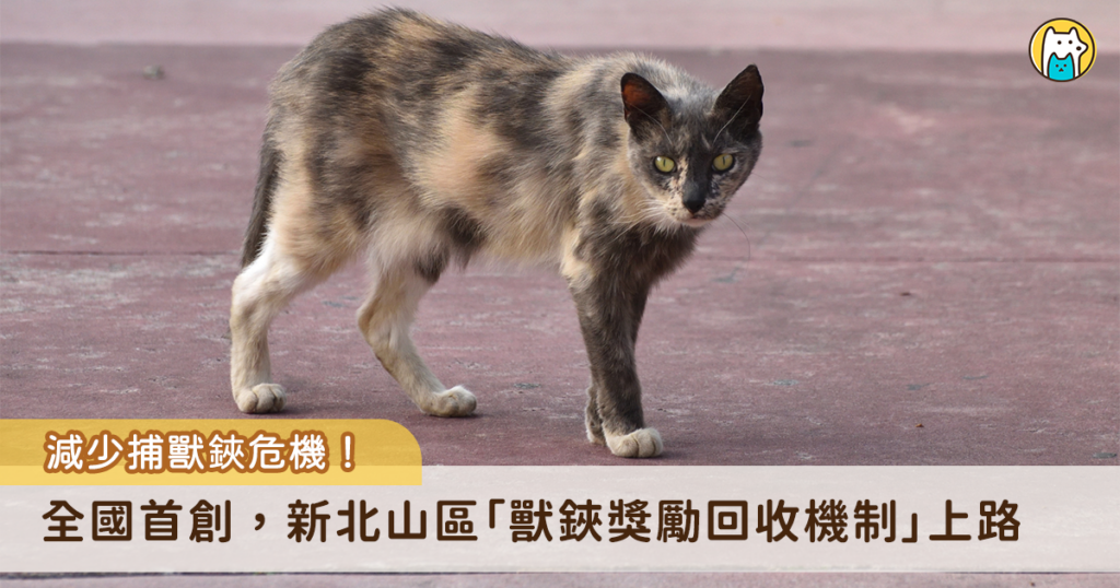 山區獸鋏與山豬吊嚴重威脅動物生活，若中陷阱傷致見骨，甚至要截肢保命，為減少悲劇發生，新北市動保處實施「民眾繳交獸鋏及金屬套索獎勵計畫」，民眾如發現獸鋏或山豬吊可協助觸發及拆除陷阱並送交，即可申請新台幣 100 至 150 元獎勵金，減少動物遭到傷害。