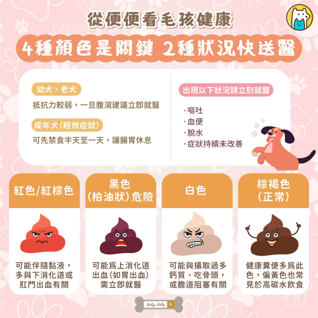 從便便看毛孩健康!4 種顏色是關鍵 2 種狀況快送醫 毛孩的健康,其實就藏在日常細節中,其中「排便狀況」更是觀察腸胃與整體健康的重要指標。新北市獸醫師公會理事長薛敦元提醒,透過糞便的顏色與型態,飼主能及早發現異常,避免延誤就醫時機。動保處分享案例,一名飼主認養犬隻後,因持續觀察排便狀況,及時發現愛犬出現腹瀉與食慾不振,送醫後確診為絛蟲感染,經驅蟲與飲食調整後順利康復,也凸顯日常觀察的重要性。