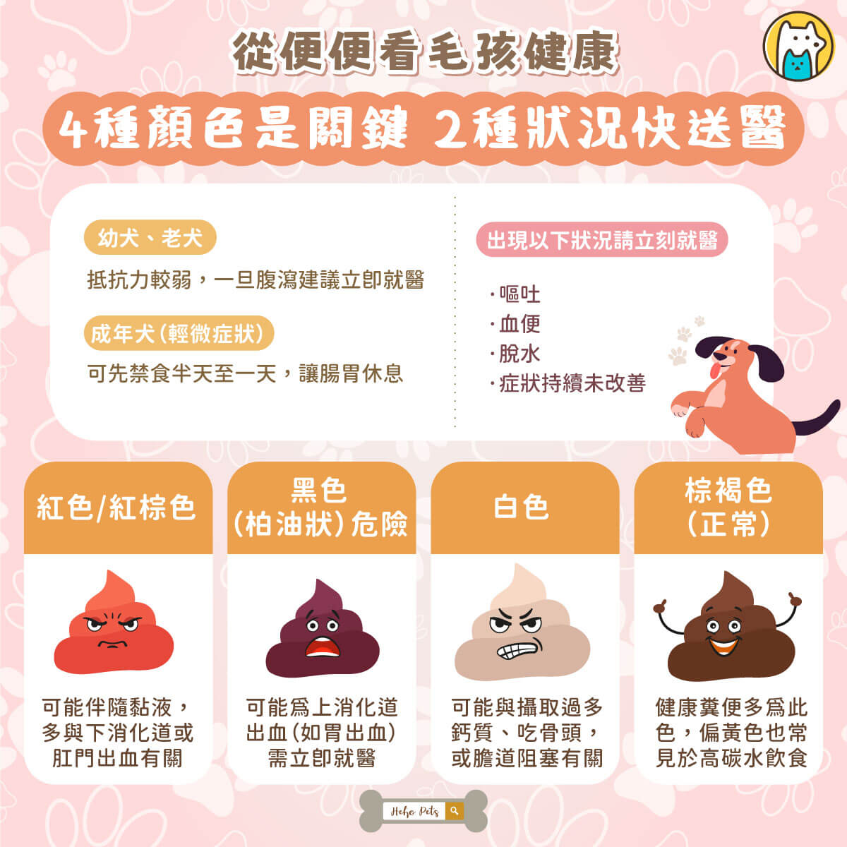 毛孩的健康，其實就藏在日常細節中，其中「排便狀況」更是觀察腸胃與整體健康的重要指標。新北市獸醫師公會理事長薛敦元提醒，透過糞便的顏色與型態，飼主能及早發現異常，避免延誤就醫時機。動保處分享案例，一名飼主認養犬隻後，因持續觀察排便狀況，及時發現愛犬出現腹瀉與食慾不振，送醫後確診為絛蟲感染，經驅蟲與飲食調整後順利康復，也凸顯日常觀察的重要性。