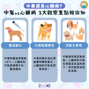 炎炎夏日，當毛孩突然出現喘不停、精神不濟的狀況，許多飼主第一時間會擔心「是不是中暑了？」但其實，這也可能是「心臟病惡化」的警訊！學會分辨兩者差異，並做好日常照護，是守護毛孩健康的重要關鍵。