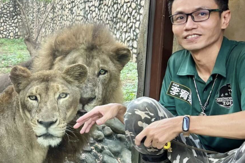 壽山動物園非洲獅「二哥」高齡離世 23歲生命旅程精彩落幕 高雄壽山動物園 23 歲美洲獅「二哥」深受民眾喜愛,13 日上午在保育員與醫療團隊的陪伴安詳離世。以非洲獅平均壽命而言,二哥已相當於人類百歲高齡,十餘年來陪伴無數遊客留下深刻回憶。
