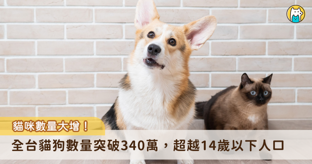 越來越多毛孩進入家庭！農業部發布最新全台貓狗數量調查，114 年全國家犬、家貓數量達到 320 萬隻，犬隻近兩年增加的數量趨近穩定，貓咪數量大幅增加，相較 112 年增加約 43 萬隻，增加 32.8%，而 114 年 0 至 14 歲人口數為 260 萬，全台貓狗數量正式超越 14 歲以下孩童人口。