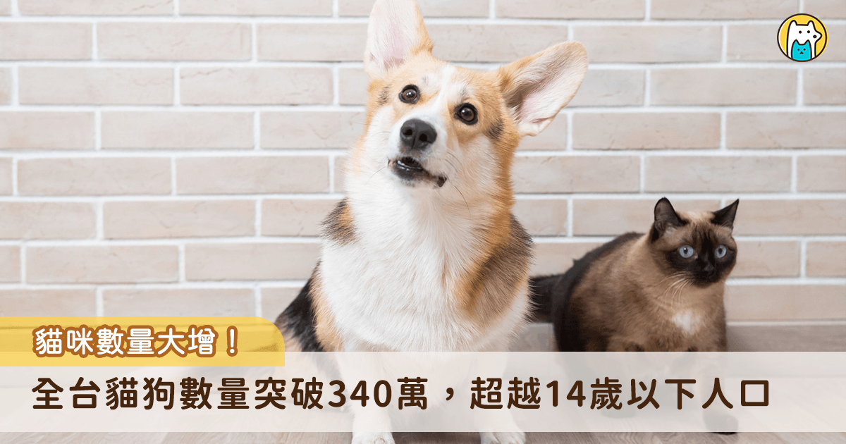 越來越多毛孩進入家庭！農業部發布最新全台貓狗數量調查，114 年全國家犬、家貓數量達到 320 萬隻，犬隻近兩年增加的數量趨近穩定，貓咪數量大幅增加，相較 112 年增加約 43 萬隻，增加 32.8%，而 114 年 0 至 14 歲人口數為 260 萬，全台貓狗數量正式超越 14 歲以下孩童人口。