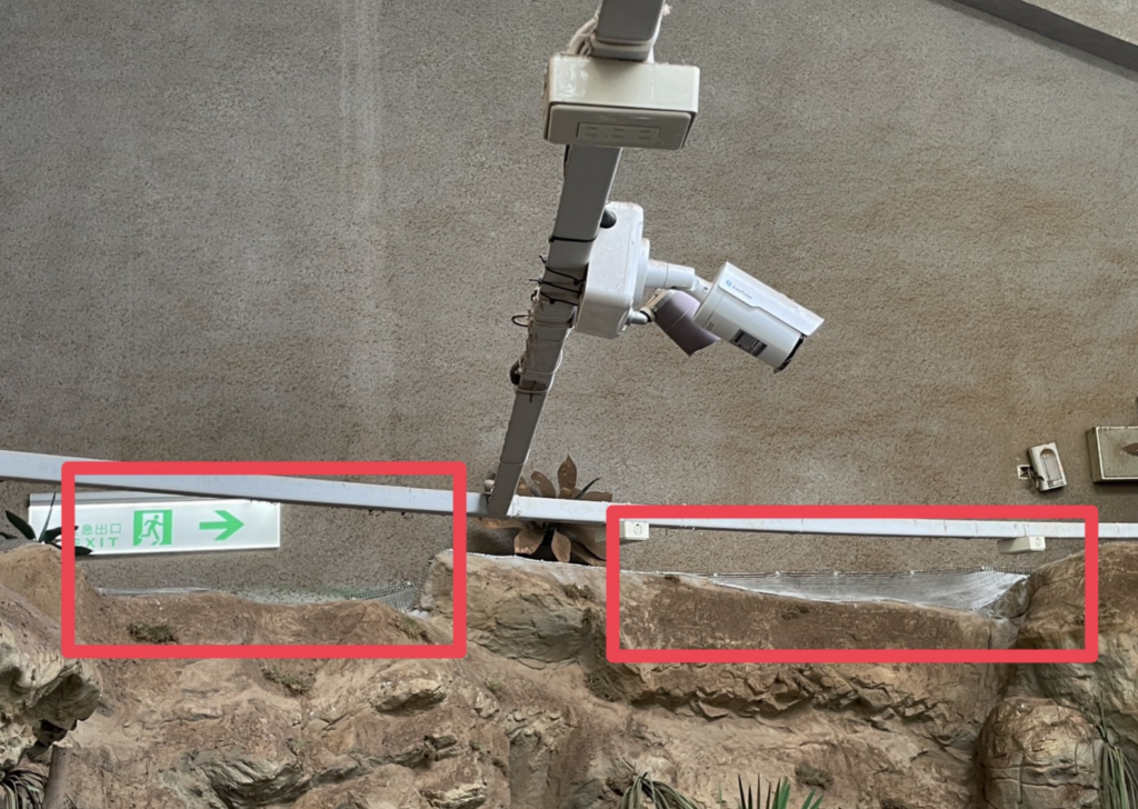 台北市立動物園傳出有老鼠亂竄，有民眾到陸龜展場參觀時直擊一隻拳頭大的老鼠出沒，拍下照片分享至社群平台引起熱烈討論。對此，台北市立動物園表示，今年 2-3 月已做防鼠措施，保育員已立即將個體捕捉移除，未來會持續加強鼠類管理與巡檢。