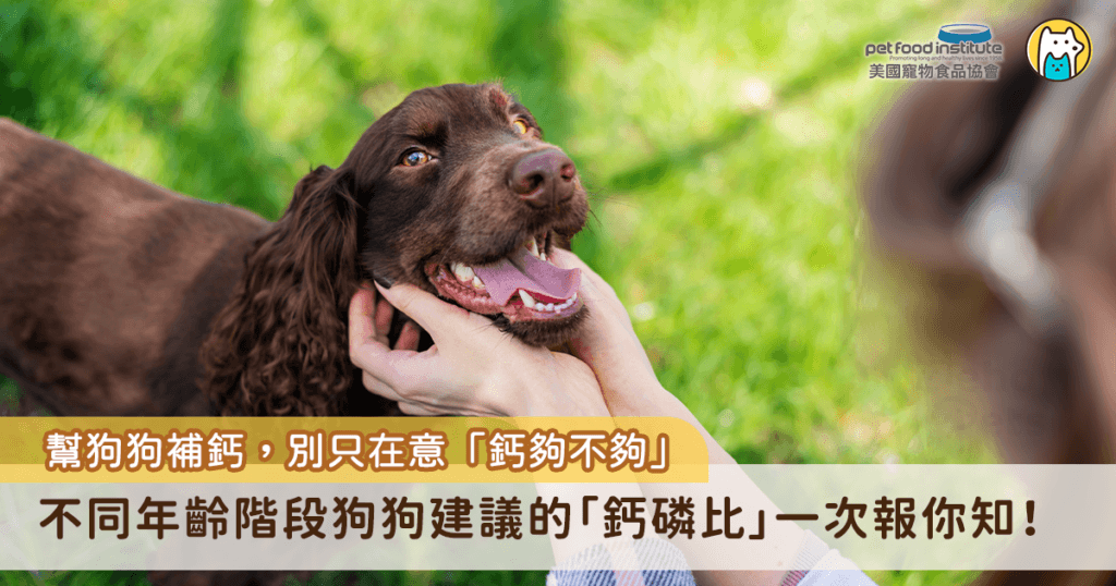 很多飼主會幫狗狗補鈣，其實我們不只要在意「鈣夠不夠」，應該要更注重「鈣與磷之間的比例是否平衡」，這兩種礦物質在體內相互影響，若比例失衡，很可能對骨骼甚至其他器官健康造成威脅。
