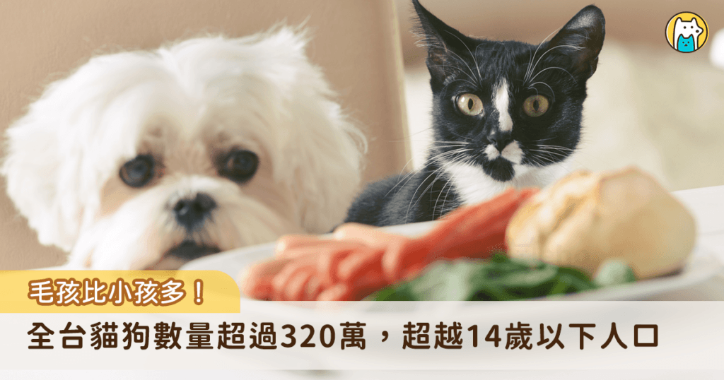 越來越多毛孩進入家庭！農業部發布最新全台貓狗數量調查，114 年全國家犬、家貓數量達到 320 萬隻，犬隻近兩年增加的數量趨近穩定，貓咪數量大幅增加，相較 112 年增加約 43 萬隻，增加 32.8%，而 114 年 0 至 14 歲人口數為 260 萬，全台貓狗數量正式超越 14 歲以下孩童人口。